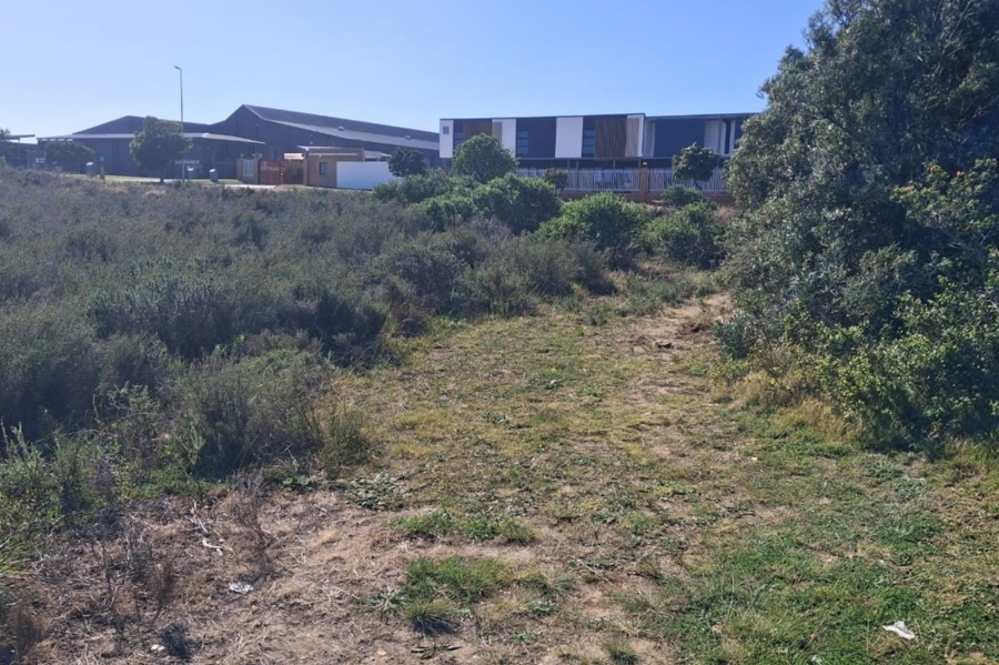 Commercial Property for Sale in Fountains Estate Eastern Cape